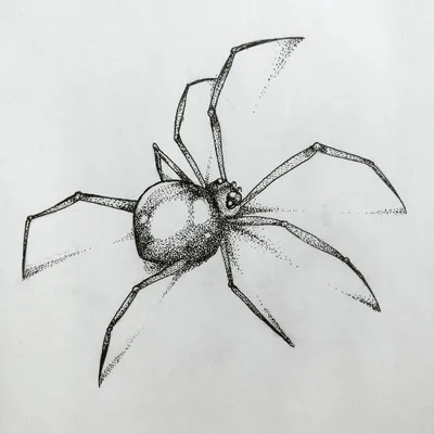 Иллюстрация вектора паука нарисованная рукой Иллюстрация вектора -  иллюстрации насчитывающей устрашите, вполне: 59482424