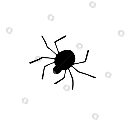 Маленький паук рисунок - 81 фото