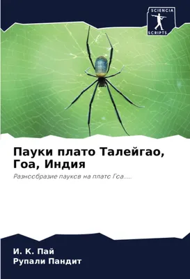 В Татарстане стали чаще встречать тарантулов и других редких пауков