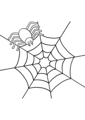 паук в своей паутине в тропическом лесу, паутина и паук, Hd фотография  фото, завод фон картинки и Фото для бесплатной загрузки