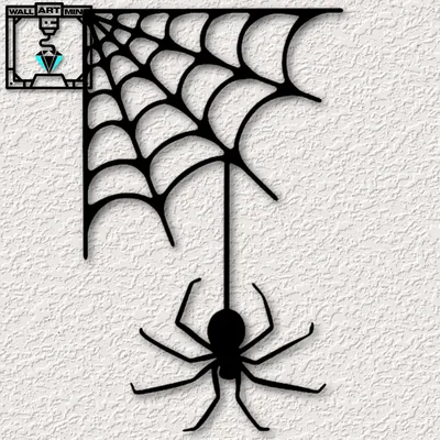 паутина с пауком в векторной иллюстрации центра Иллюстрация вектора -  иллюстрации насчитывающей насекомое, знак: 231541604