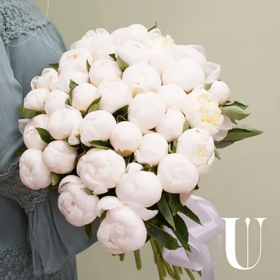 Фотообои Белые цветущие пионы купить в Москве, Арт. 13-336 в  интернет-магазине, цены в Мастерфресок