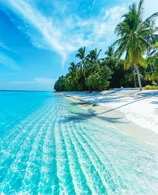 Названы лучшие пляжи мира для отдыха в 2019 году | Познавая мир, познаешь  себя... | Дзен