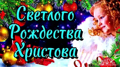 Католическое Рождество 2019: душевные поздравления своими словами, открытки  - Телеграф