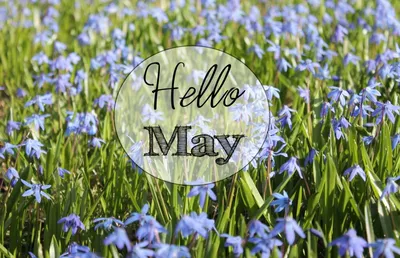 Привет, май 💜 в 2023 г | Весна, Счастливые картинки, Фотогаллерея
