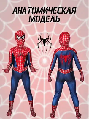 Все три Человека-паука и Мэтт Мёрдок на новых кадрах фильма Spider-Man: No  Way Home - утечка | GameMAG