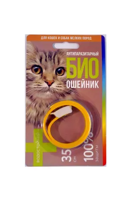 Купить PetSafe Staywell Aluminium Дверцы усиленной конструкции для котов и  собак в Киеве и по всей Украине - цена, отзывы в зоомагазине Зоодом Бегемот