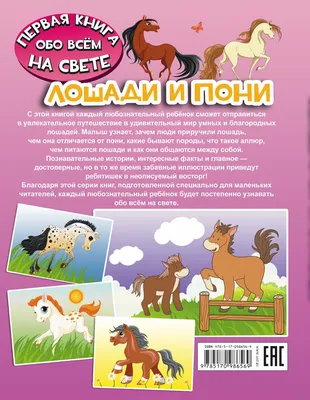 Лошади и пони. Плакат-игра для детей - купить с доставкой по выгодным ценам  в интернет-магазине OZON (208630504)