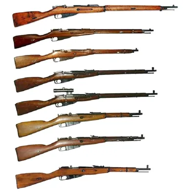 Оружие для охоты: виды и особенности охотничьего ружья