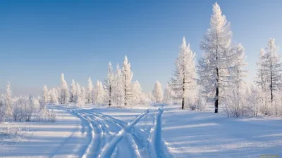 Прогноз снегопадов в Украине на зиму 2024