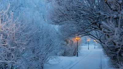Зима в Беларуси 2024: прогноз, температура, Дмитрий Рябов, самый холодный  месяц - KP.RU