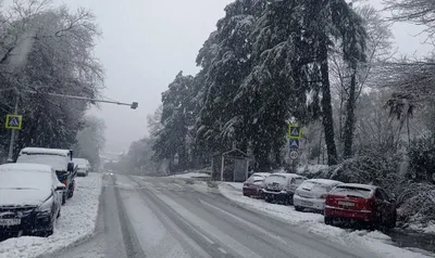 Холод и метель: жителям Подмосковья пообещали настоящую зиму