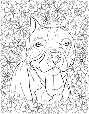 Картинки раскраски собаки - 64 фото