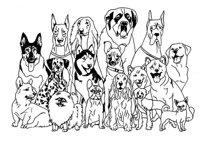 Раскраска Немецкая овчарка | Раскраски собак, рисунки собак, картинки собак