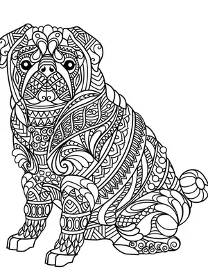 Вектор книжка-раскраски собаки Doberman стиля пара панковский Иллюстрация  вектора - иллюстрации насчитывающей минимализма, расцветка: 88910738