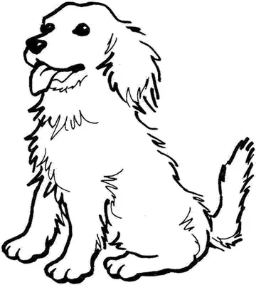 Раскраски про собак. Французский бульдог