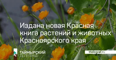 Knigi-janzen.de - Сюжетные картинки для составления описательных рассказов.  Мир растений и грибов. Мир животных | 978-5-00013-135-0 | Купить русские  книги в интернет-магазине.