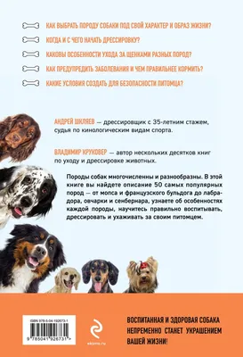 Ученые объяснили, почему поведение разных пород собак различно | 03.09.2019  | Санкт-Петербург - БезФормата