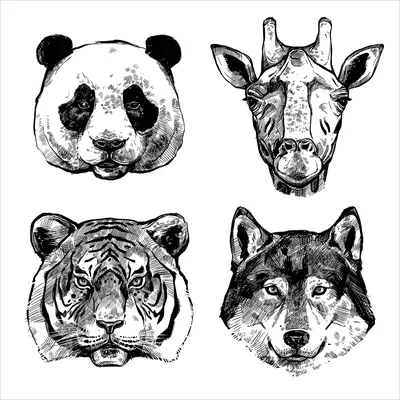 Рисунки животных простым карандашом в скетчбуке - 66 фото