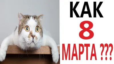 Статуэтка кот 8 марта » maket.LaserBiz.ru - Макеты для лазерной резки