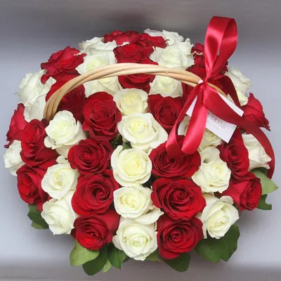 75 длинных белых роз, шикарный белый букет | доставка по Москве и области |  Roza4u.ru