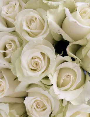 Сборный букет белых цветов | доставка по Москве и области