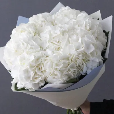Белые розы в сердце от 41 шт. за 8 890 руб. | Бесплатная доставка цветов по  Москве