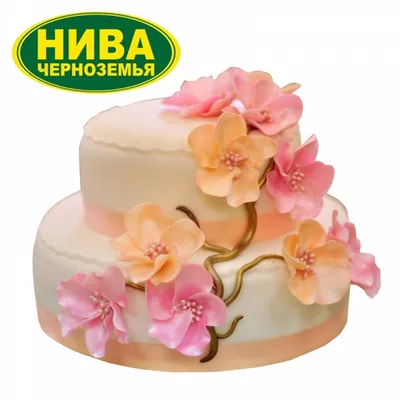 Свадебный двухъярусный торт \"Кремовые цветы с гипсофилой\" заказать с  доставкой в СПБ