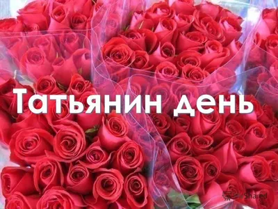 Татьянин день 2022 Украина - поздравления, картинки и стихи — УНИАН