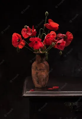 Ромашки с красными маками в вазе, холст, масло – заказать на Ярмарке  Мастеров – E2BCNRU | Картины, Рязань