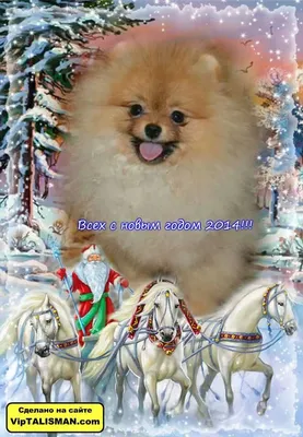 Картинки \"С Новым 2018 годом собаки\" и открытки для поздравления с  праздником