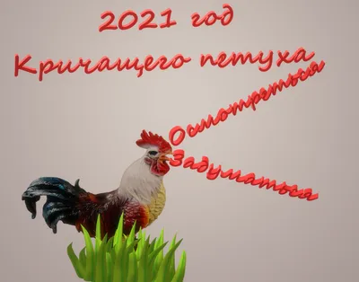 Открытки на Новый год петуха открытки, поздравления на cards.tochka.net