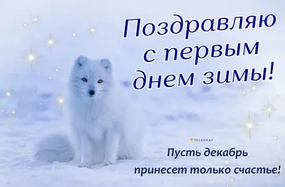 1 Декабря - Первый День зимы | С Сочельником Открытки Поздравления на  Рождество | ВКонтакте