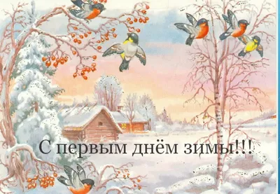 С первым днем зимы: красивые, прикольные и добрые картинки к 1 декабря - МК  Новосибирск