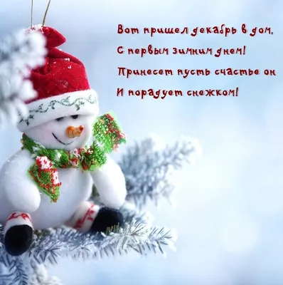 С первым днём зимы! ❄🎄 Пусть даже в холодный, зимний день на душе будет  тепло, а на лицах сияют морозные улыбки!… | Christmas bulbs, Christmas  mood, Holiday decor