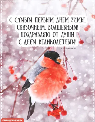 Шуточная открытка с Первым Днём Зимы, замурчательного настроения! • Аудио  от Путина, голосовые, музыкальные