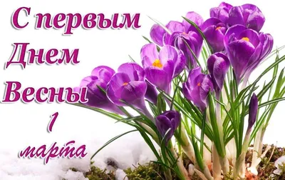 Весенний приветик с началом Весны! | Светлана Пюро-Дятловская | Дзен