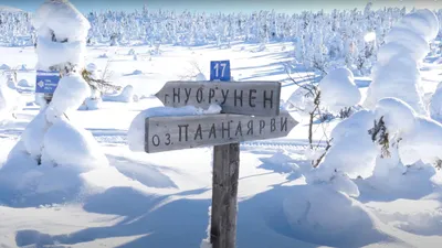 Владимир зимой – чем заняться, где отдохнуть в зимний отпуск