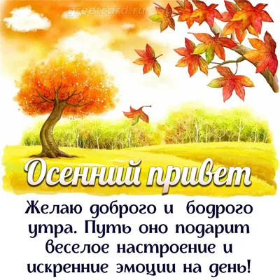 Красивая открытка «С добрым осенним утром и хорошим днём» • Аудио от  Путина, голосовые, музыкальные