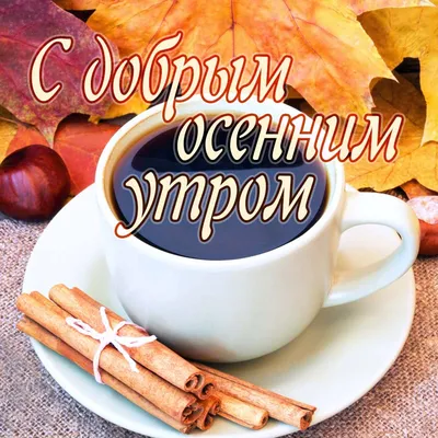 Красивая открытка с добрым осенним утром! — Скачайте на Davno.ru