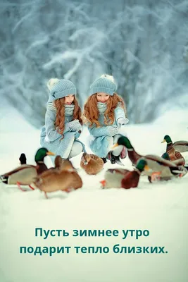 Картинки с добрым днем зимние (45 фото) » Юмор, позитив и много смешных  картинок