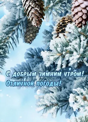 Пожелание доброе зимнее утро на открытках на украинском языке – Женский  журнал Modista