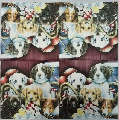 Рисовая бумага для декупажа А4 0962 природа собаки кошки щенок котенок -  купить с доставкой по выгодным ценам в интернет-магазине OZON (525590334)