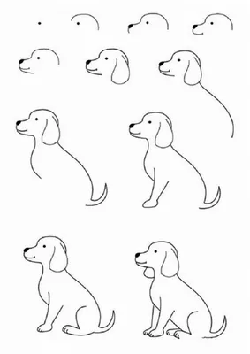 Как Нарисовать Собаку Из Цифр (49 Фото)