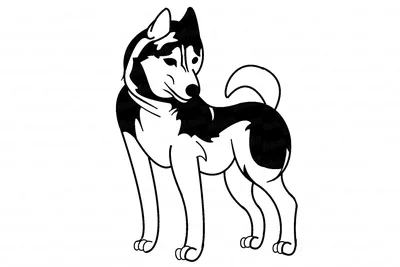 Создать мем \"собака сутулая, срисовки карандашом, собака рисунок для  срисовки\" - Картинки - Meme-arsenal.com