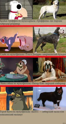 Собаки из мультфильмов и их породы | Пикабу