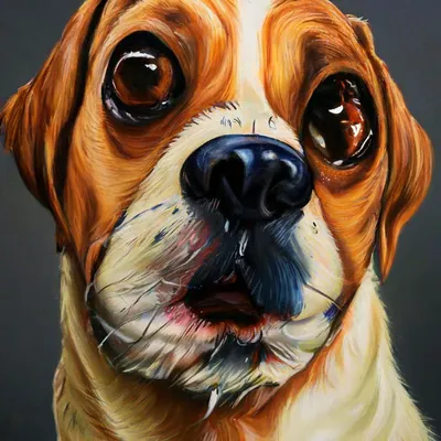 Мультфильм собака породы такса Stock Illustration | Adobe Stock