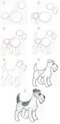 Как нарисовать собаку поэтапно карандашом | Рисунок карандашом, Уроки  рисования, Рисование