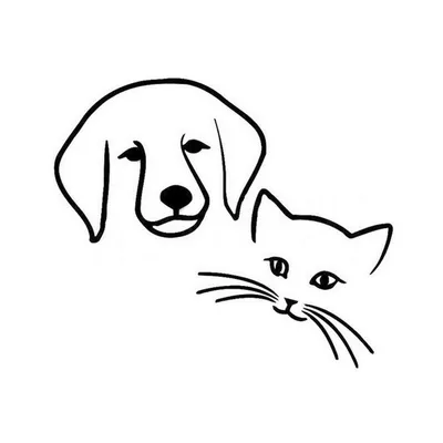 Картинки собак для срисовки карандашом (40 рисунков) • Прикольные картинки  и позитив