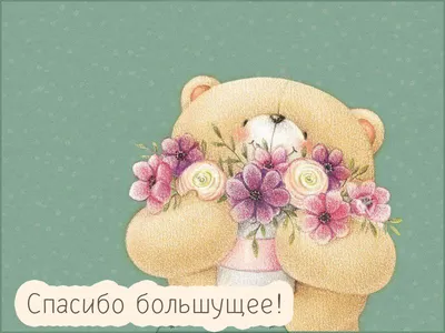 Всем спасибо за поздравления!)) Мне очень приятно))❤️❤️❤️ К сожалению, день  рожденья только раз в году))) 😊 #грустныйпраздник… | Instagram